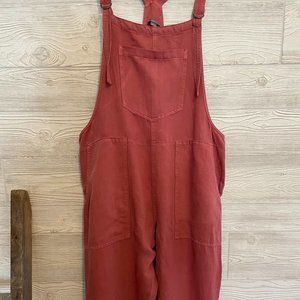 Aerie Overalls